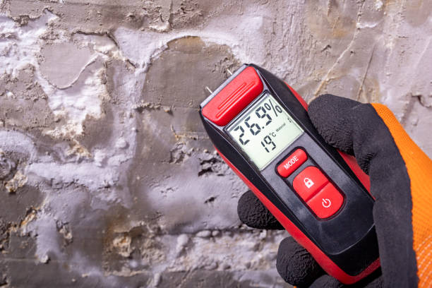 Best Mold Testing and Inspection Services in Westworth Village, TX
